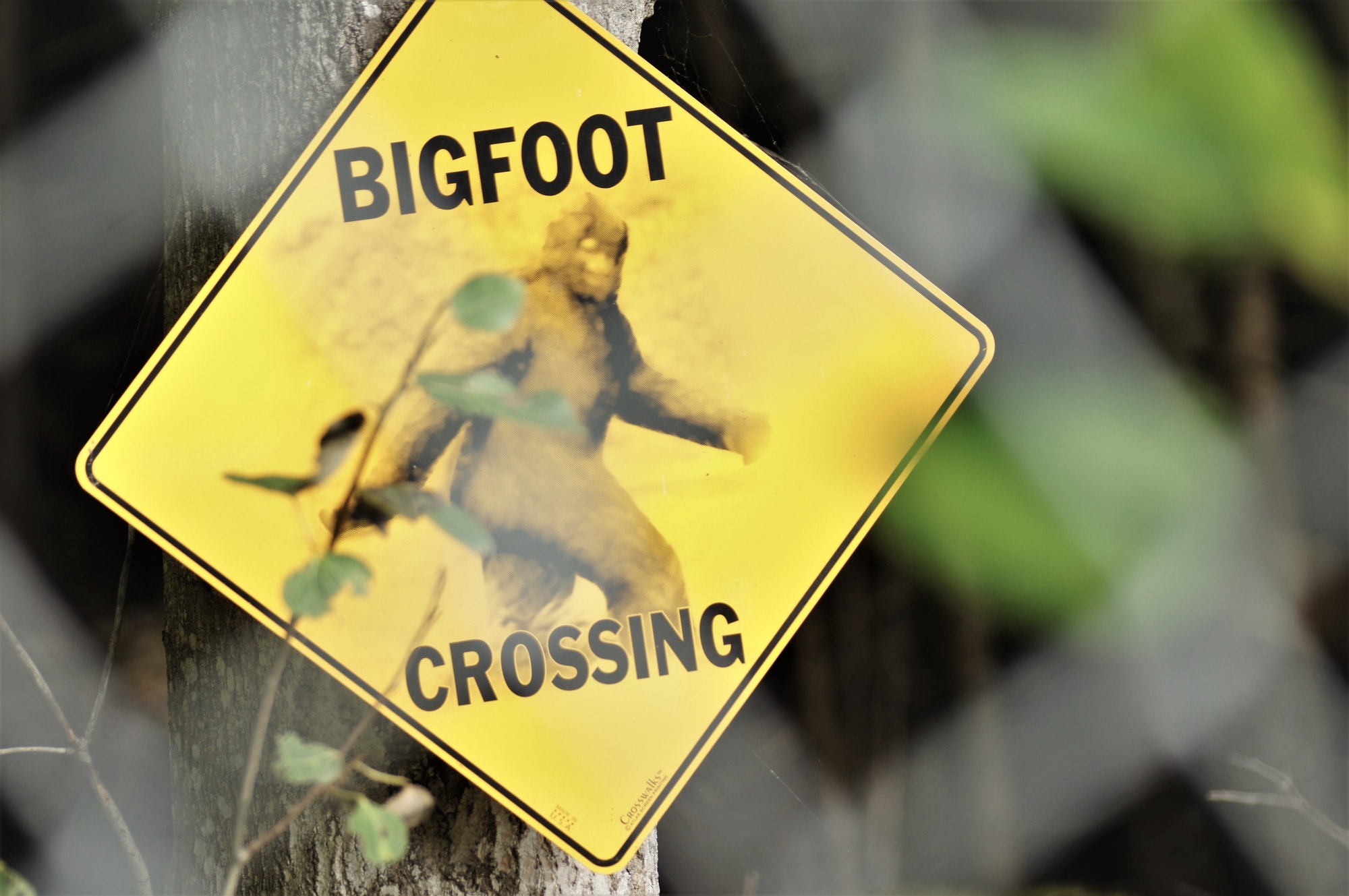 Funny Bigfoot crossing sign