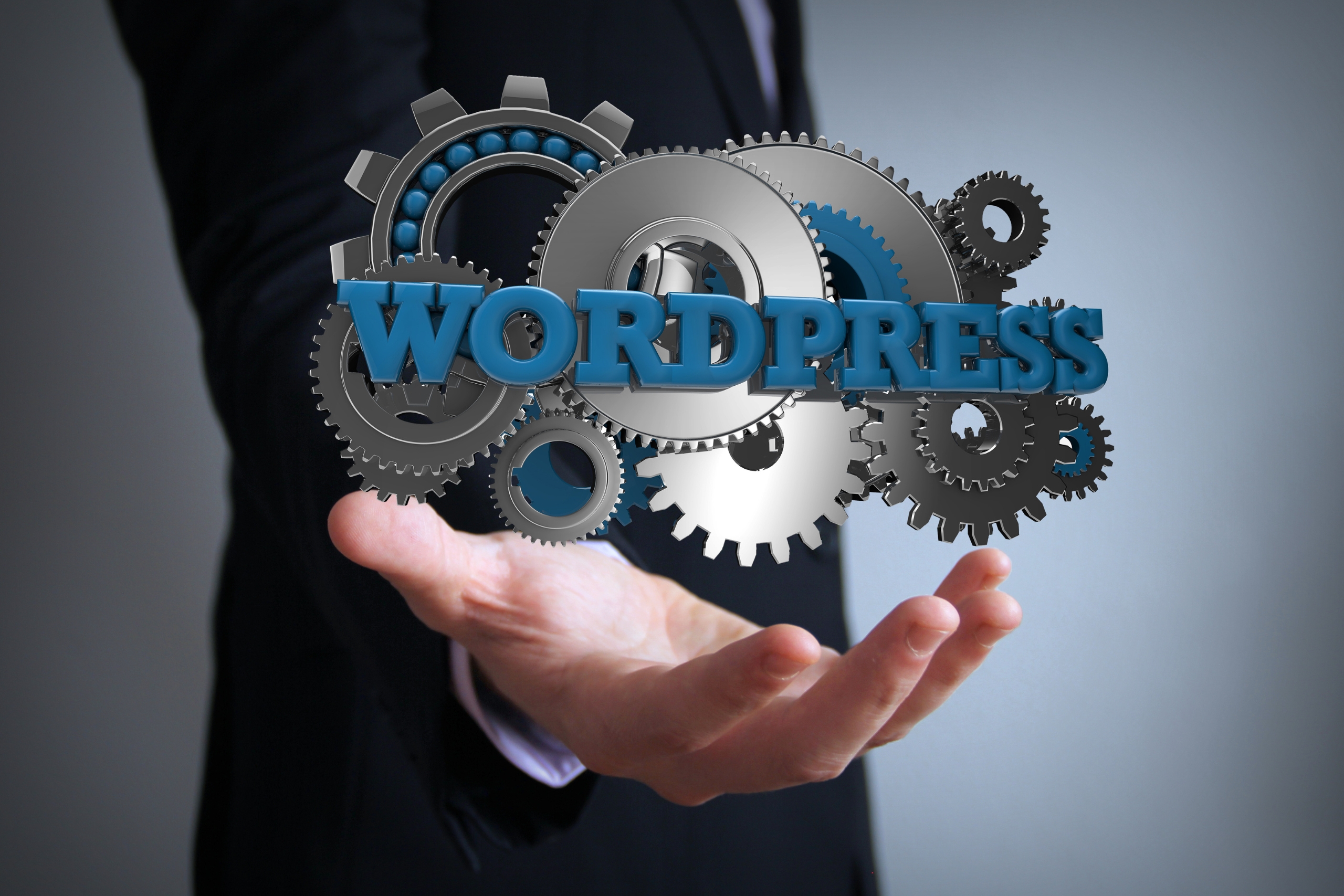 Where To Find A WordPress Web Developer