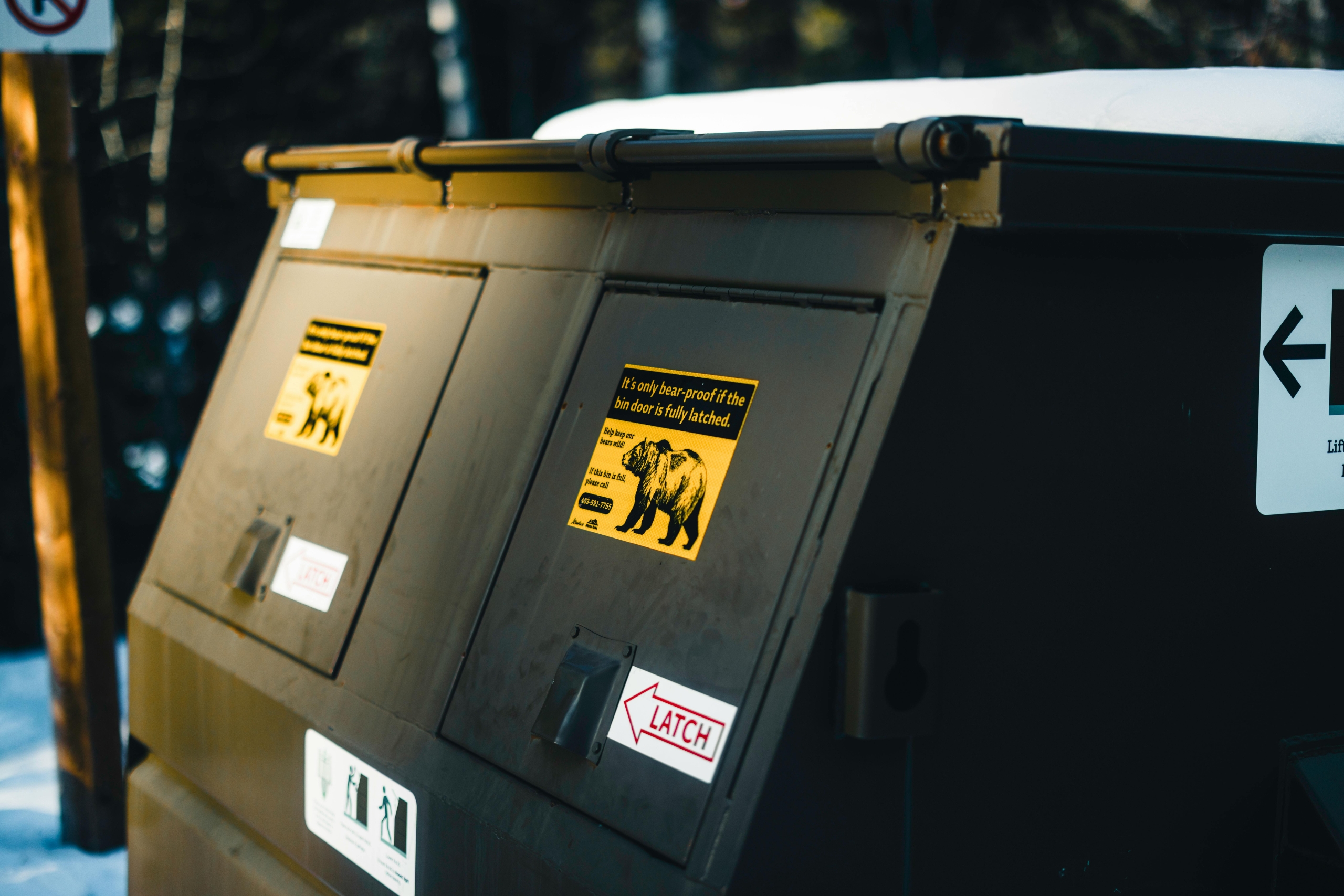 Can Be The Difference Between A Roll Off Dumpster And Also A Front-Load Trash Removal Service?