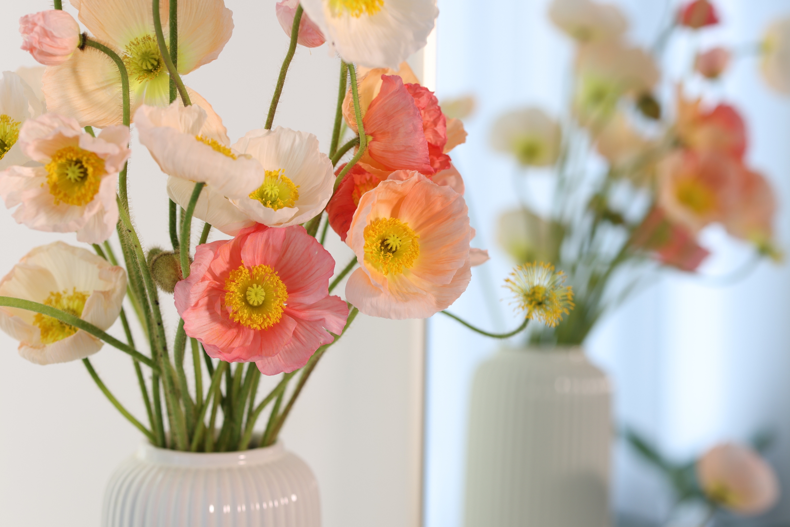 House Plants That Produce Flowers