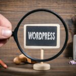 What To Look For When Hiring A Wordpress Developer
