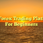 Best Forex Trading Platforms For Beginners