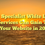 How Specialist White Label SEO Services Can Gain Traffic to Your Website in 2022