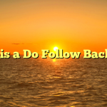 What is a Do Follow Backlink?