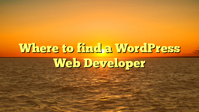 Where to find a WordPress Web Developer