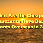 What Are the Cheapest Countries to Have Dental Implants Overseas in 2023?