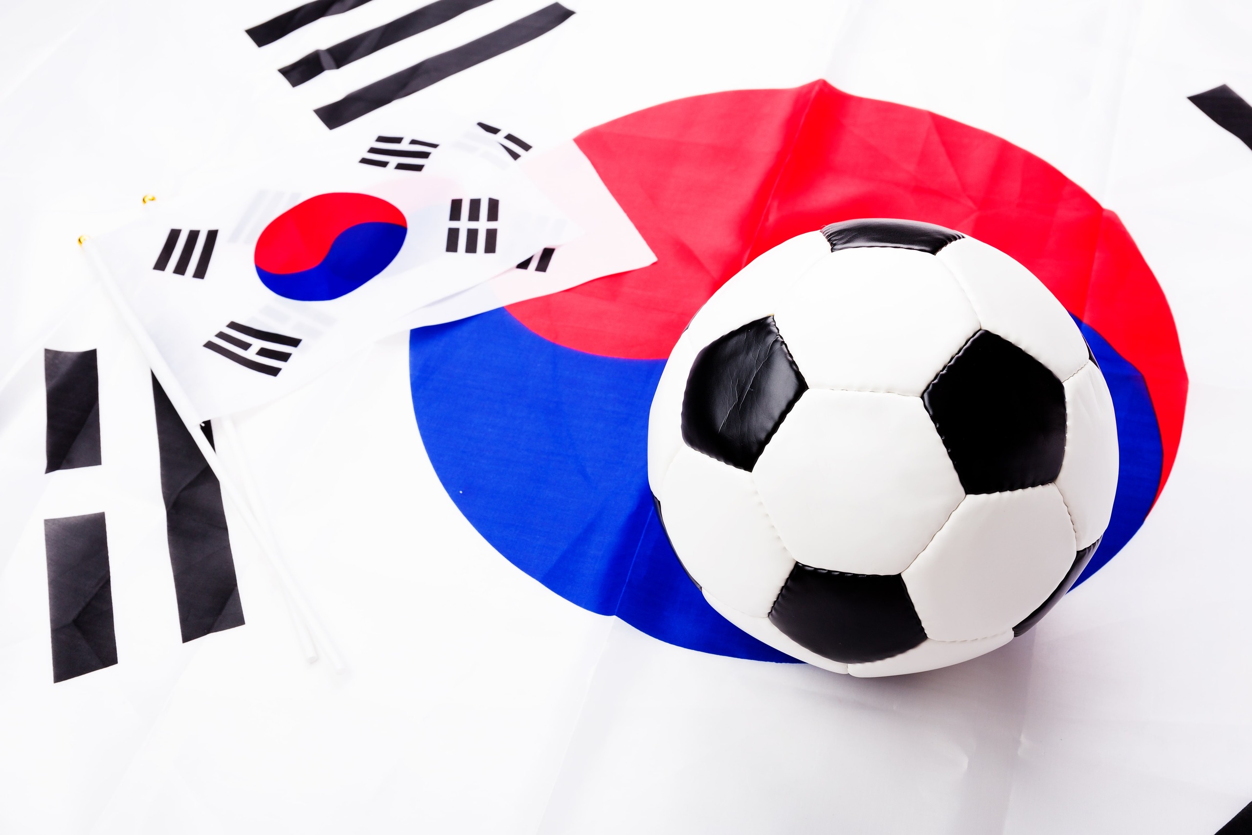 성공 사례 확보: 토토 베팅 검증된 사이트 1위